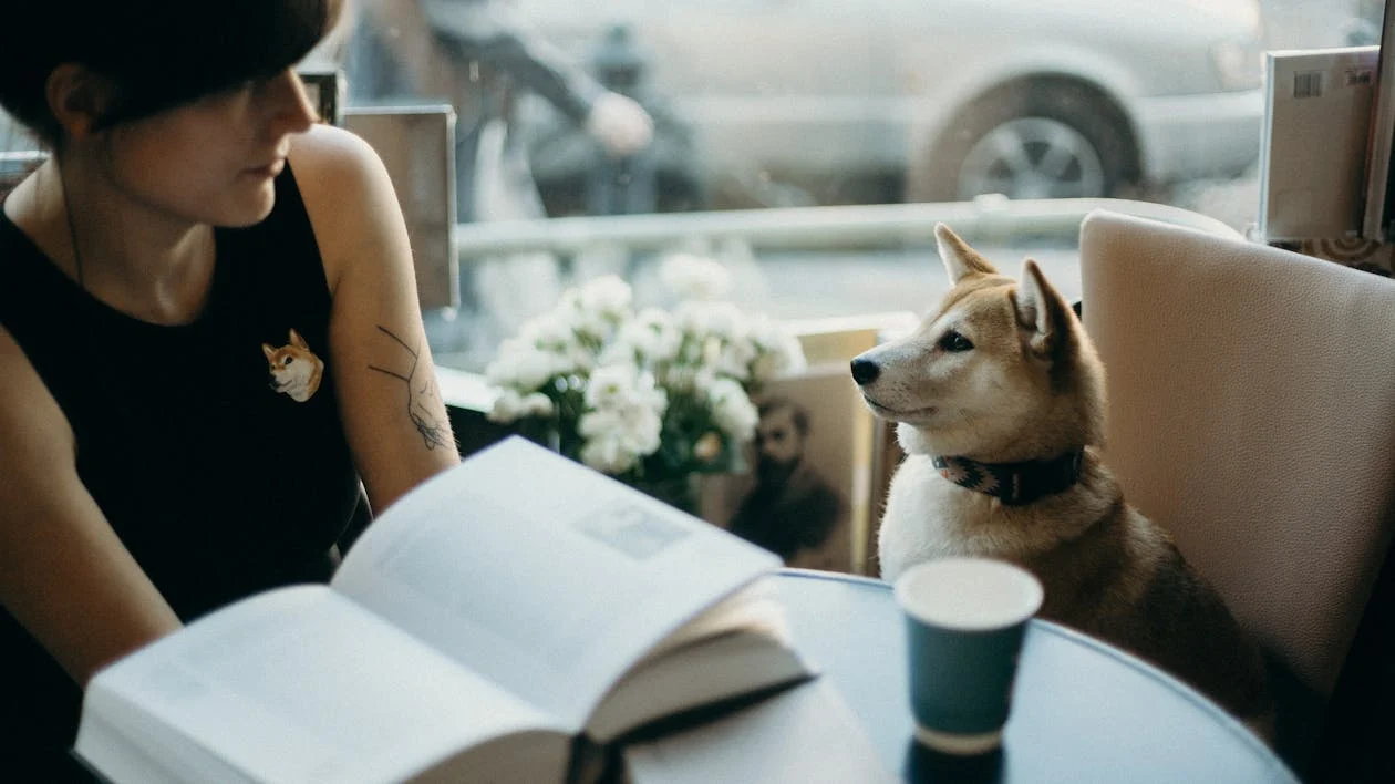 Happy dog with owner at pet-friendly cafe